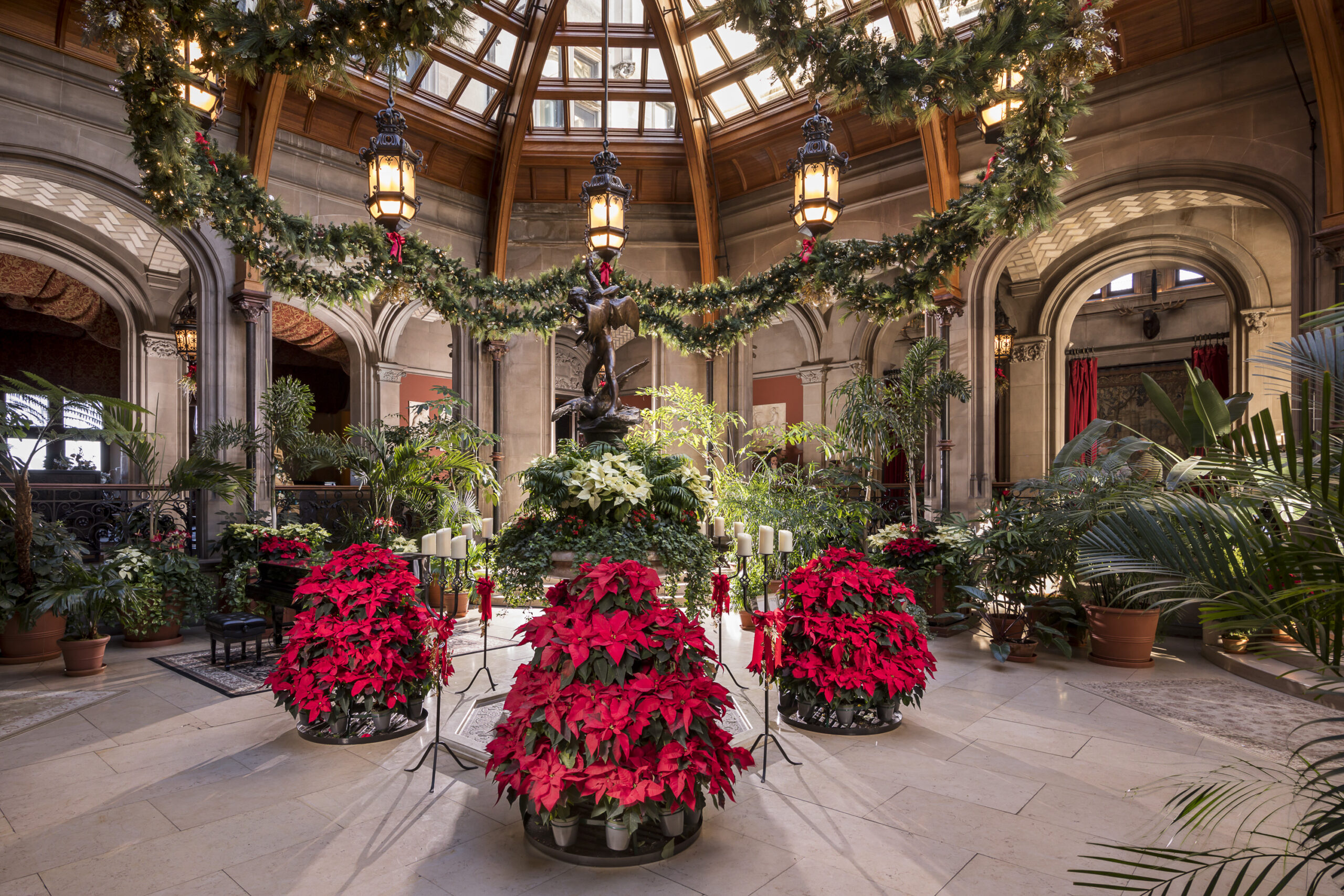 December Goody Tours