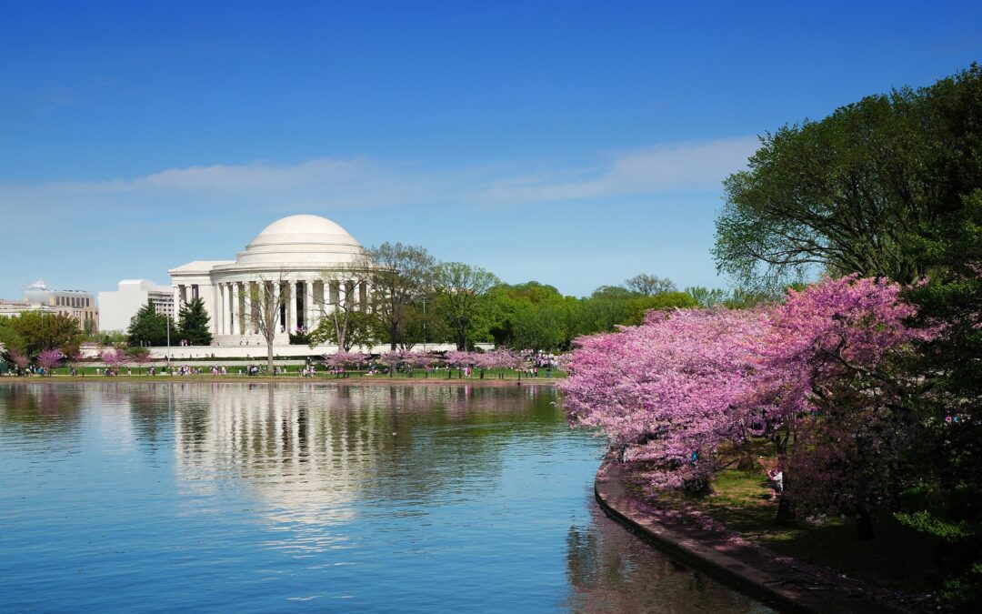 It's Cherry Blossom Time in Washington, DC! Join us in 2025 for this exciting tour.