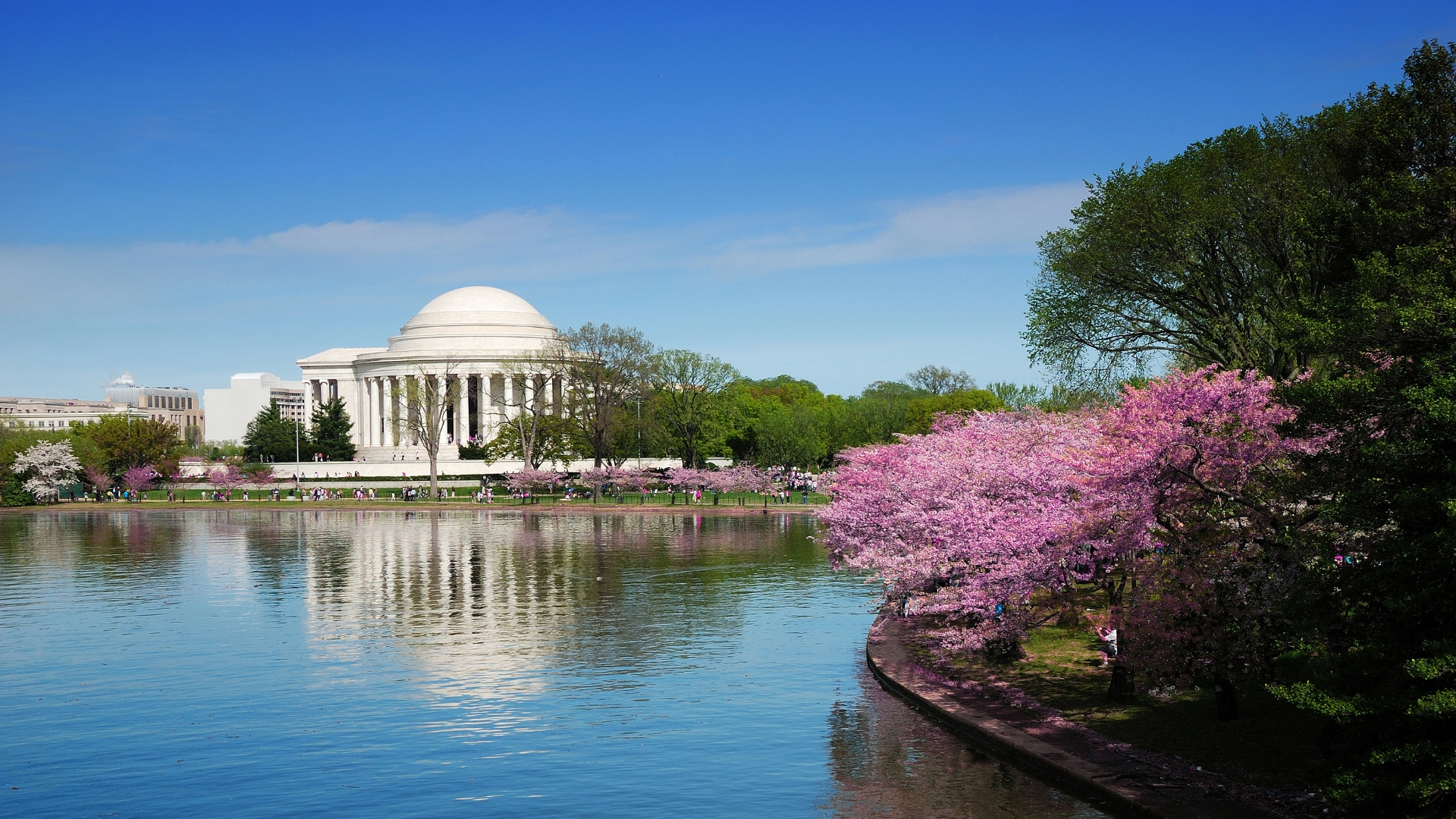 WASHINGTON DC APRIL 513 Goody Tours