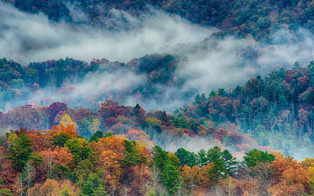 Smoky Mountains in the fall